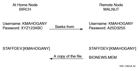 Network and Proxy Logins