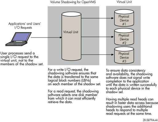 Elements of a Shadow Set