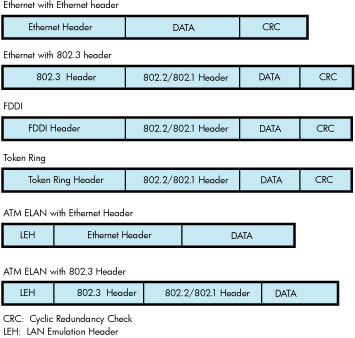 LAN Frame Formats